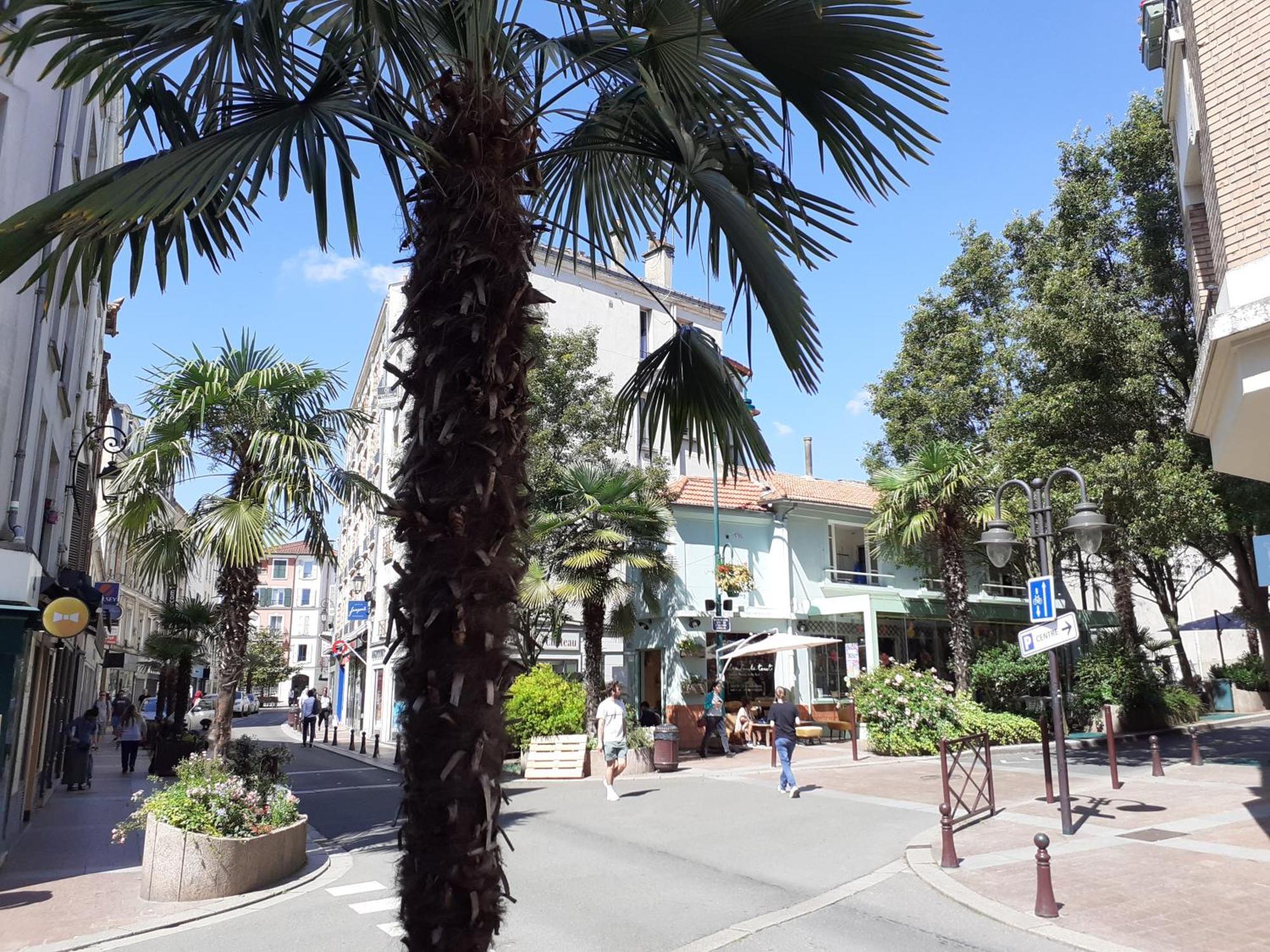 Maison Individuelle Avec Terrasse Nogent Sur Marne Εξωτερικό φωτογραφία